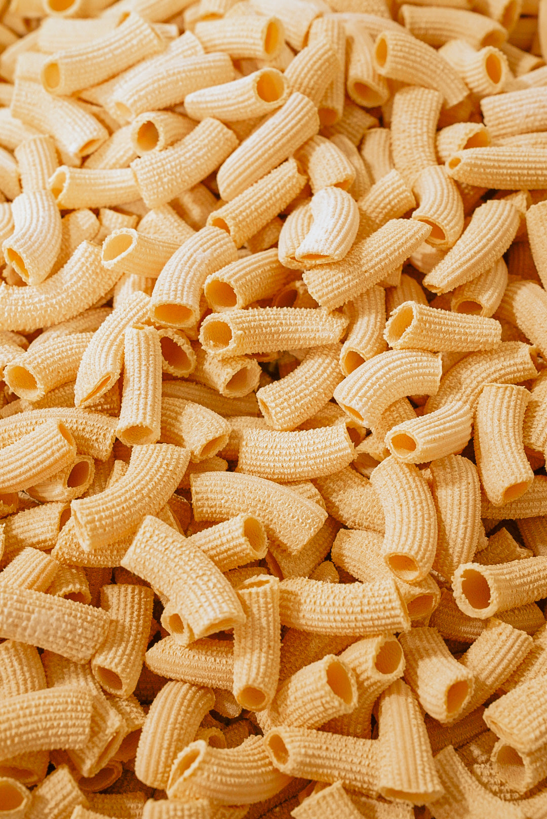 Rigatoni - Fresh