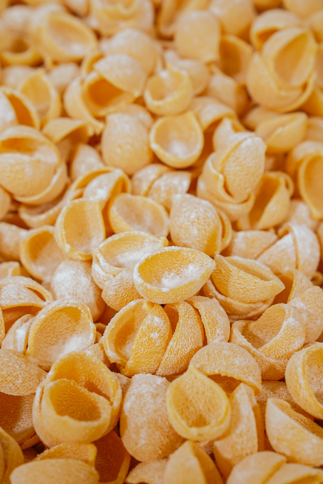 Orecchiette - Fresh