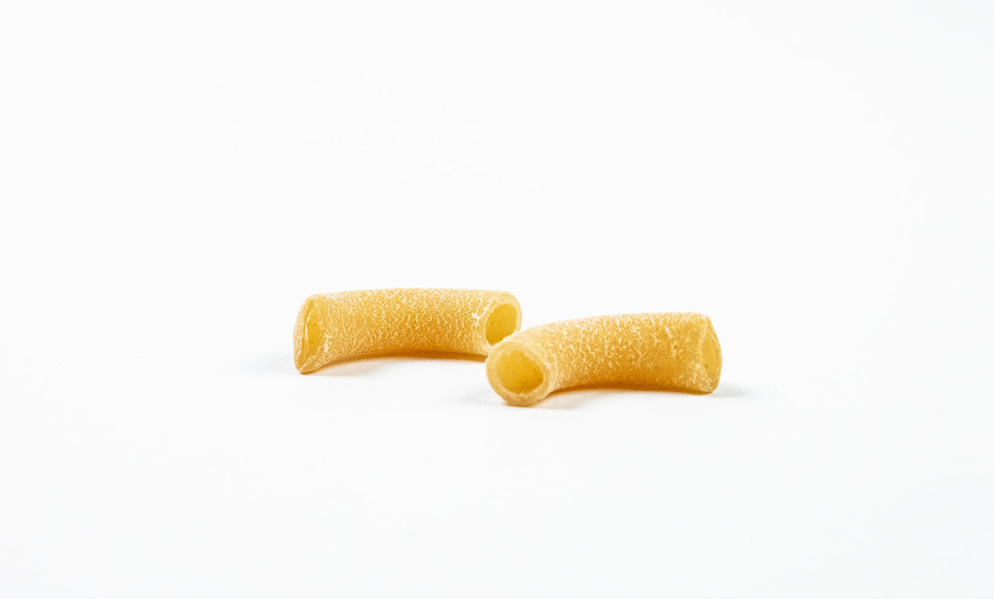 Rustic Elbow - Dried